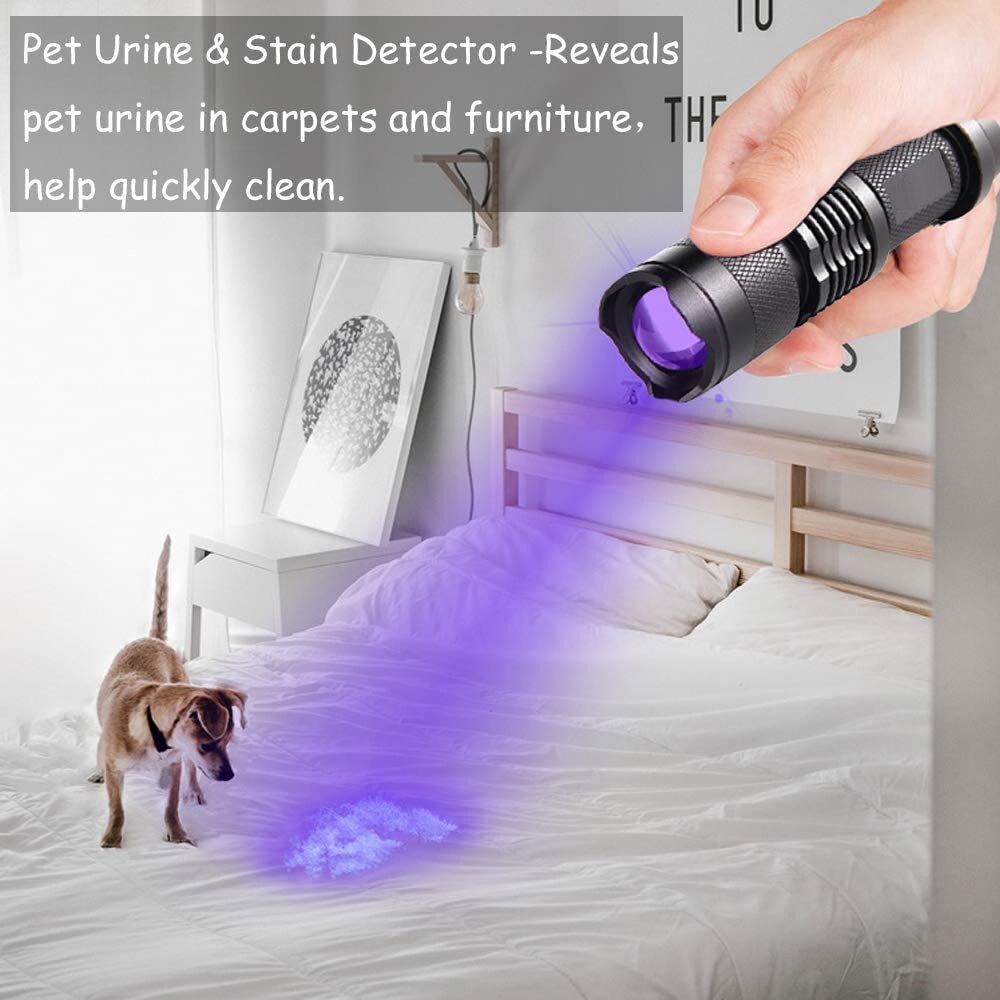 UV LED Flashlight